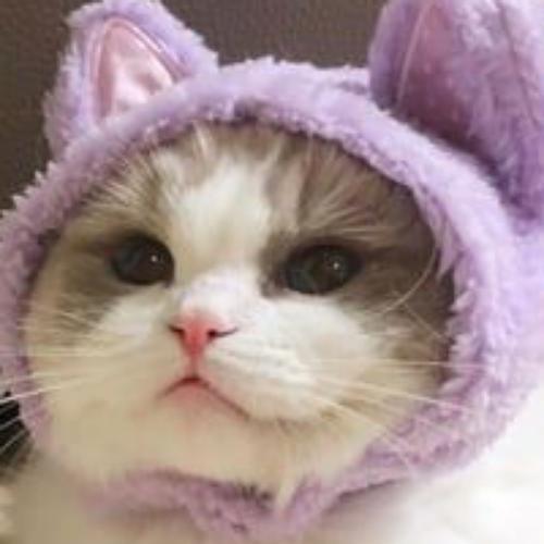 สมาชิกหมายเลข 6702365