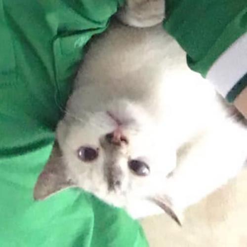 สมาชิกหมายเลข 6702535