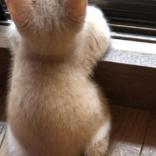 สมาชิกหมายเลข 6702898