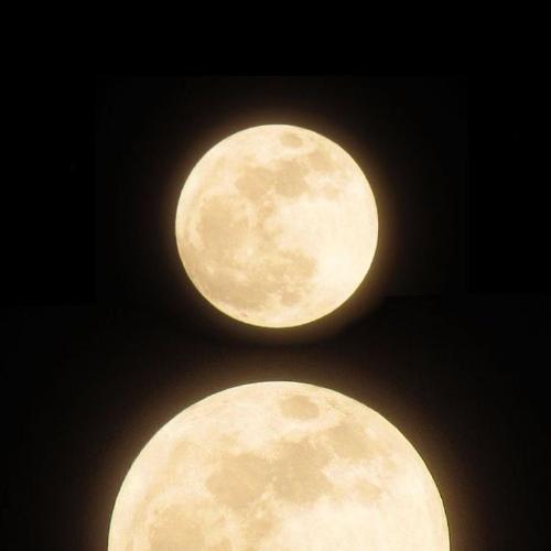 สมาชิกหมายเลข 7369291