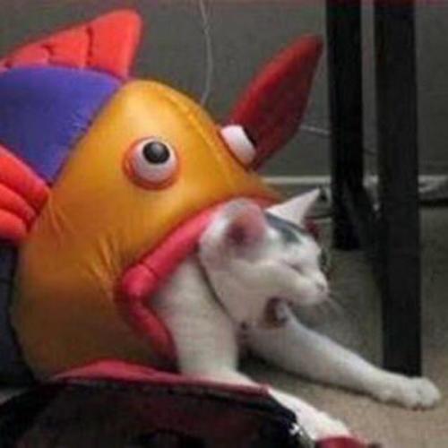 สมาชิกหมายเลข 7693371