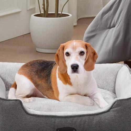 สมาชิกหมายเลข 8354250