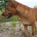 สมดังหมาย