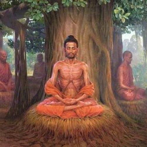 สมาชิกหมายเลข 4405958