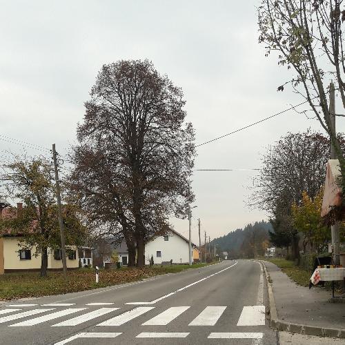 สมาชิกหมายเลข 3677783