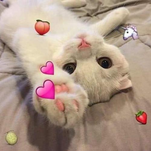 สมาชิกหมายเลข 5134346