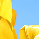 สมาชิกหมายเลข 5134470