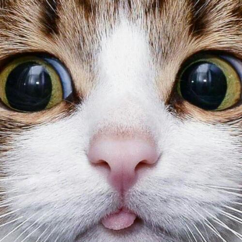 สมาชิกหมายเลข 5531936