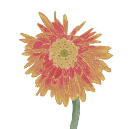 สมาชิกหมายเลข 6576878