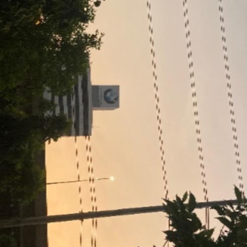 สมาชิกหมายเลข 4225232