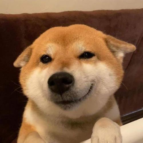 สมาชิกหมายเลข 7872712