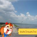 สมาชิกหมายเลข 3592279