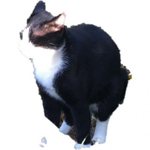 สมาชิกหมายเลข 3930359