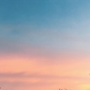 สมาชิกหมายเลข 1338824