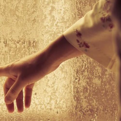 สมาชิกหมายเลข 6037624