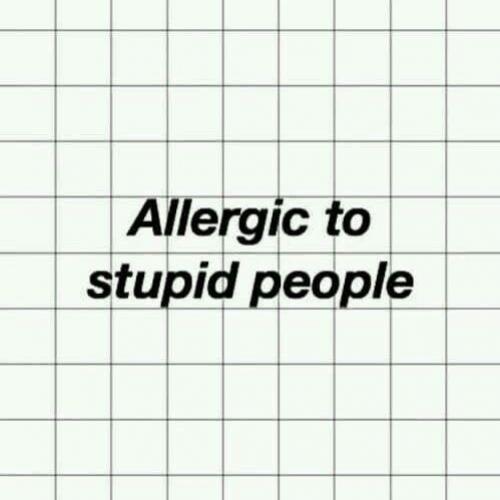 สมาชิกหมายเลข 5463313