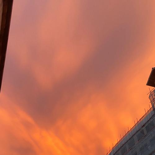 สมาชิกหมายเลข 6001896