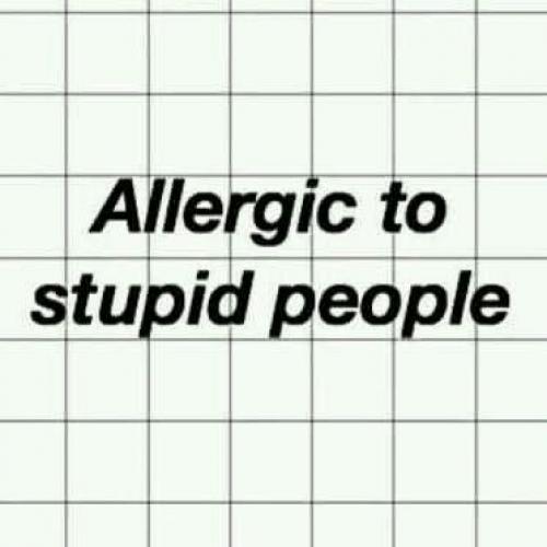 สมาชิกหมายเลข 6703954