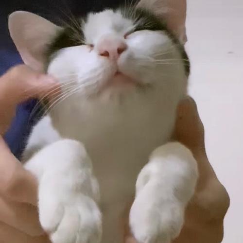 สมาชิกหมายเลข 7058676