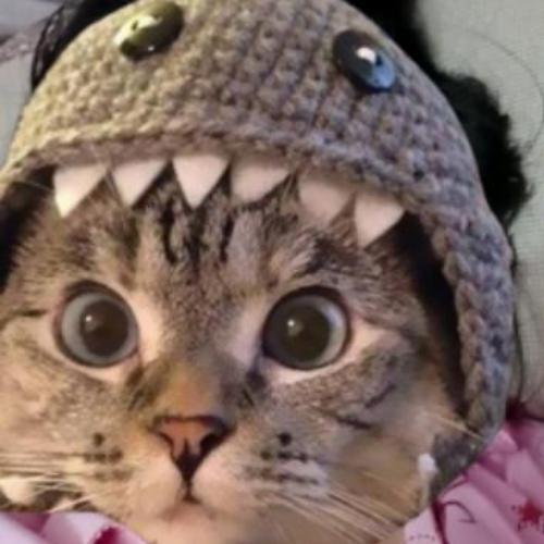 สมาชิกหมายเลข 7325640