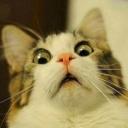 สมาชิกหมายเลข 3385895