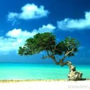 สมาชิกหมายเลข 3930895