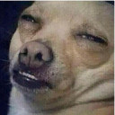 สมาชิกหมายเลข 2883279