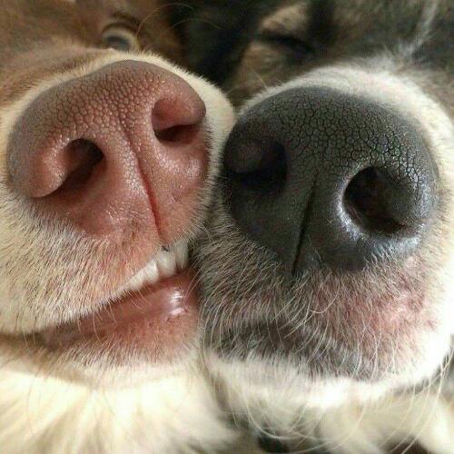 สมาชิกหมายเลข 4407612