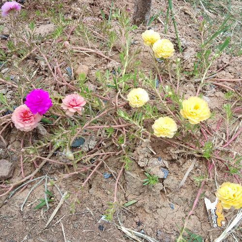 สมาชิกหมายเลข 4759453