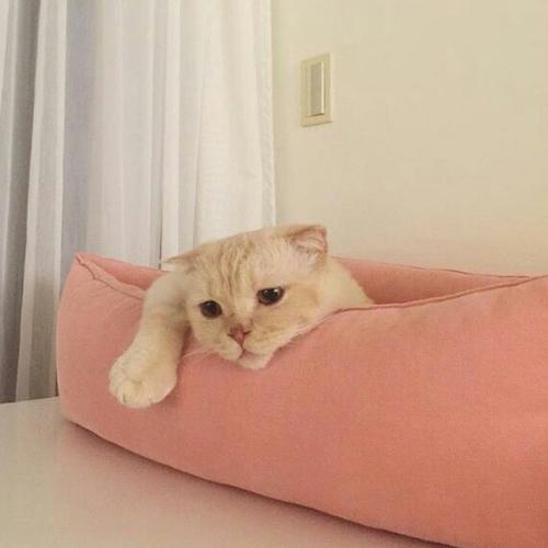 สมาชิกหมายเลข 4759483