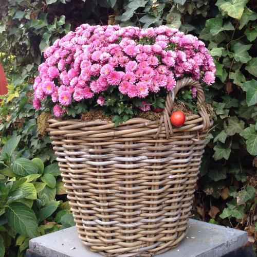 สมาชิกหมายเลข 4539143