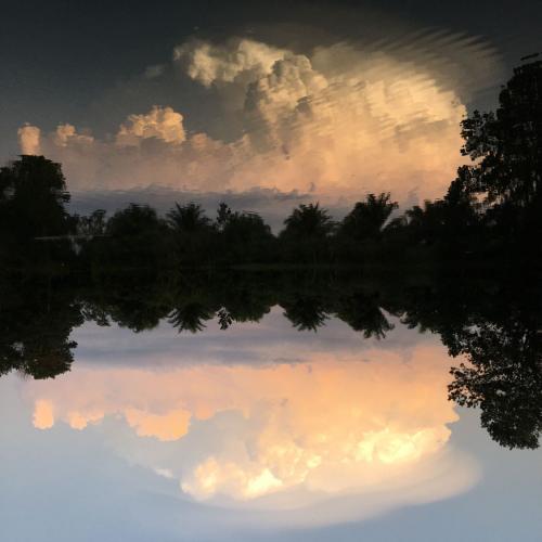 สมาชิกหมายเลข 4156286