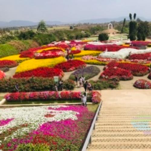 สมาชิกหมายเลข 6083946