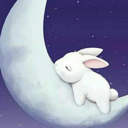 สมาชิกหมายเลข 1105755