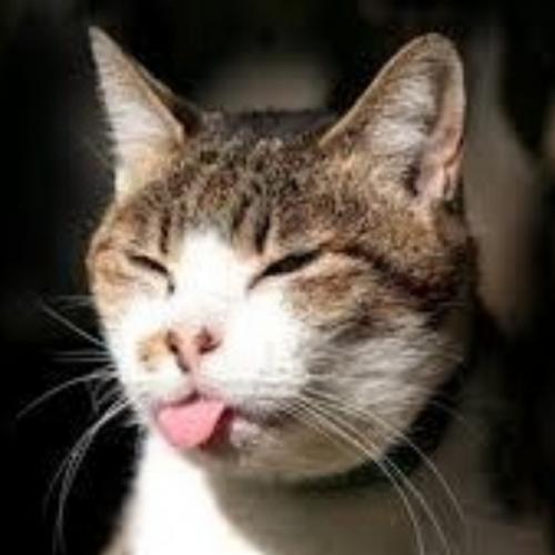 สมาชิกหมายเลข 6704648