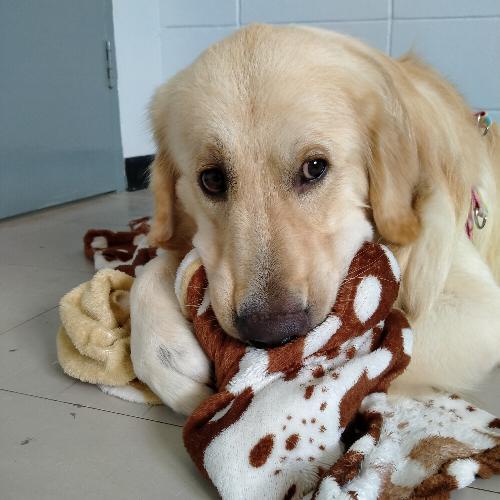 สมาชิกหมายเลข 7414738