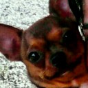 สมาชิกหมายเลข 3549064