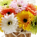 สมาชิกหมายเลข 3931131