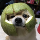 สมาชิกหมายเลข 4759955