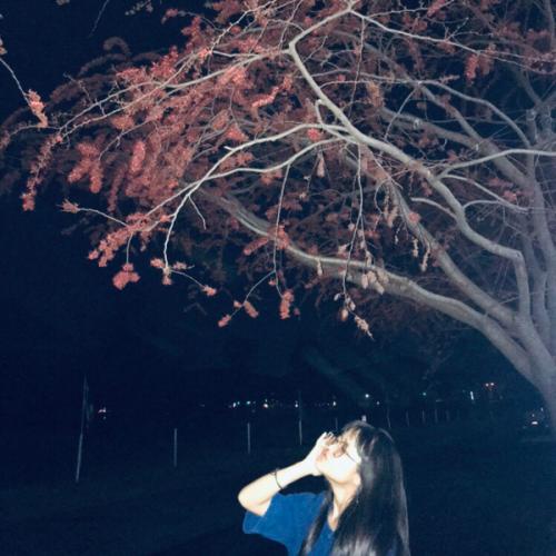 สมาชิกหมายเลข 2417169