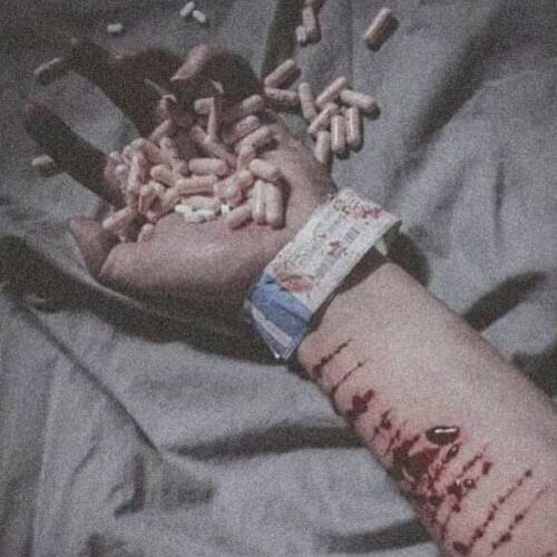 สมาชิกหมายเลข 5135702