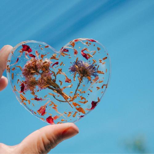 สมาชิกหมายเลข 5339488