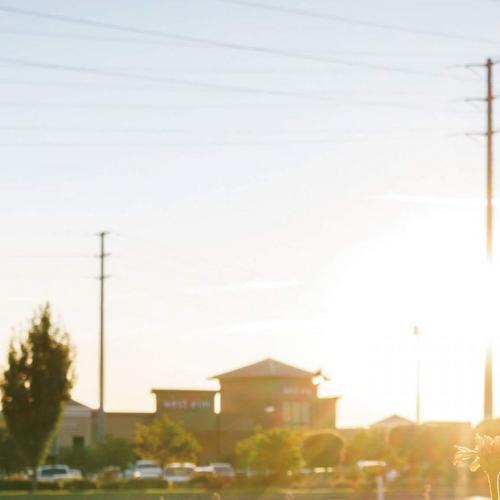 สมาชิกหมายเลข 5324844