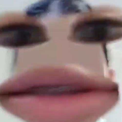 สมาชิกหมายเลข 6082509