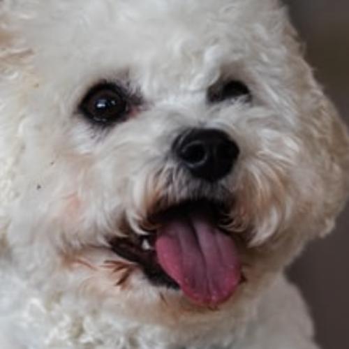 ไม่จริงเสมอไป