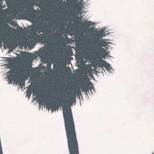 สมาชิกหมายเลข 2821490