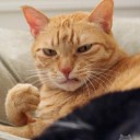 เดี๋ยวนะ