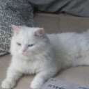 สมาชิกหมายเลข 1042683