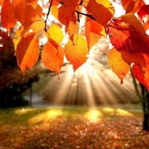 สมาชิกหมายเลข 3776227