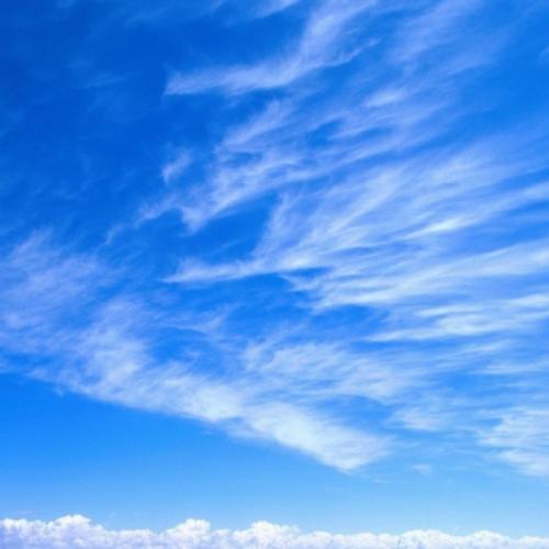 สมาชิกหมายเลข 3676850